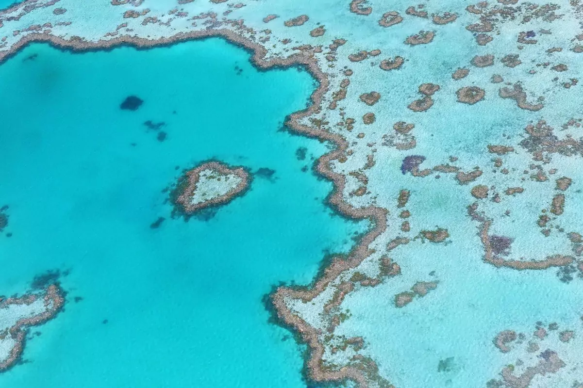 Great Barrier Reef - 7 Natural Wonders of the World