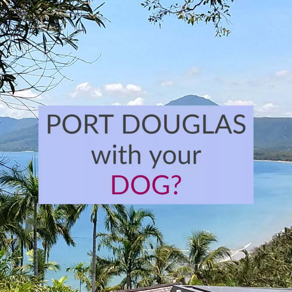 Port Douglas With Dog