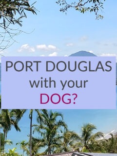 Port Douglas With Dog