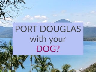 Port Douglas With Dog