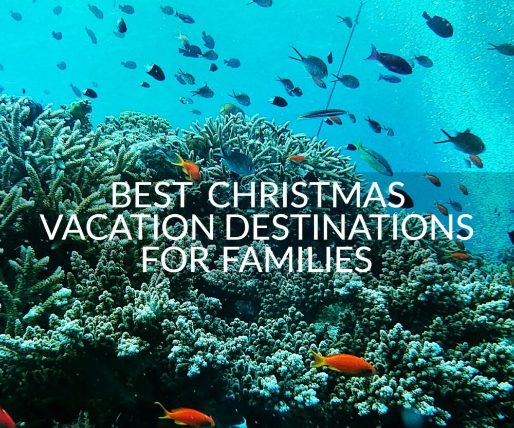Best Christmas Vacation Destinations Family Australia