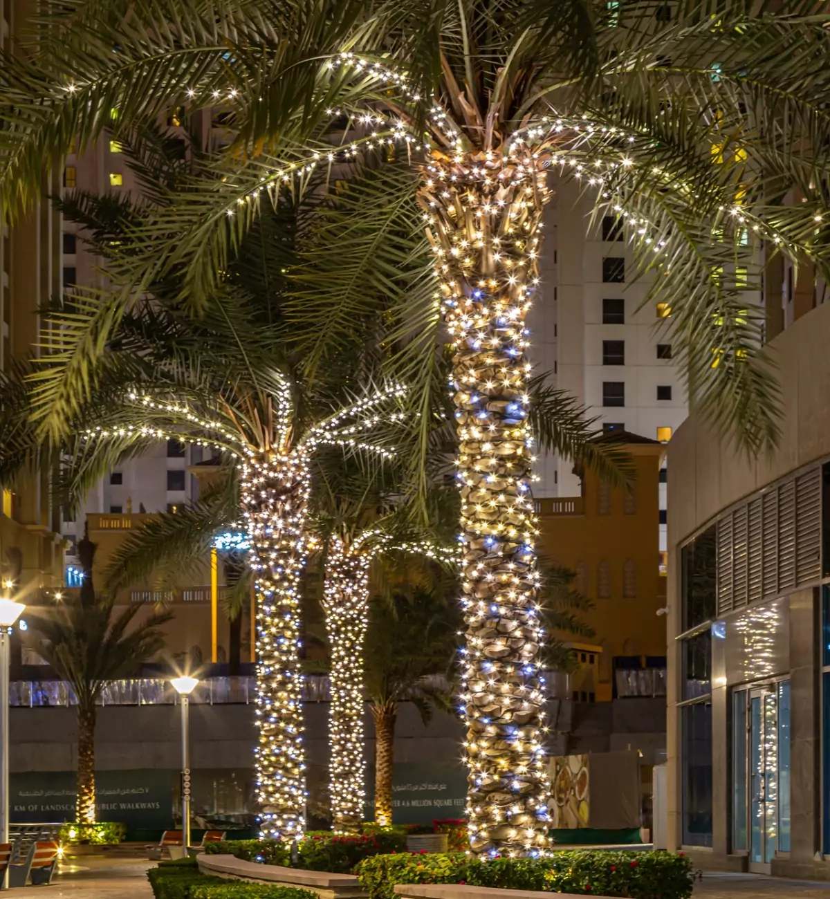 Christmas in Dubai