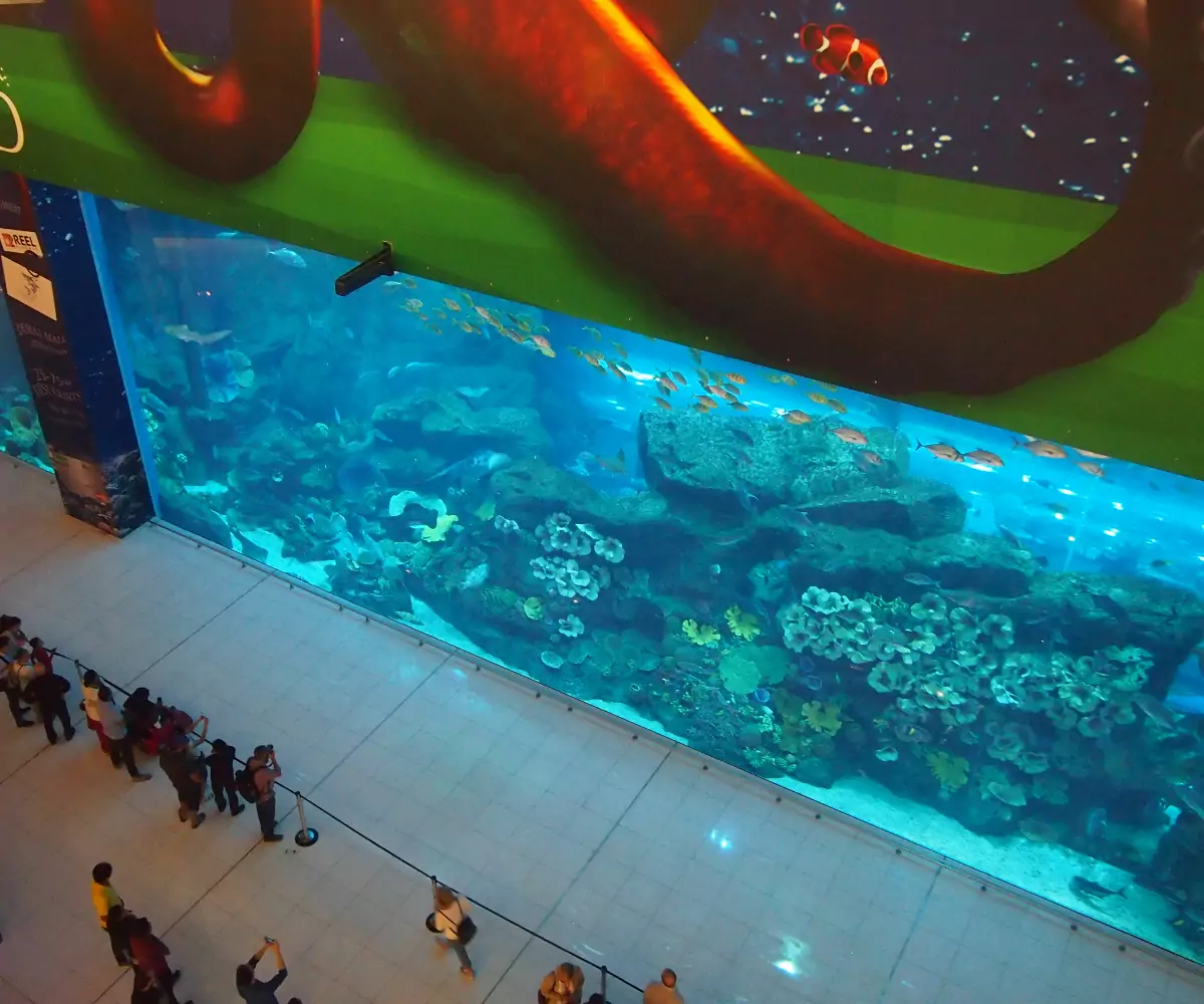 Dubai aquarium public view Dubai Mall