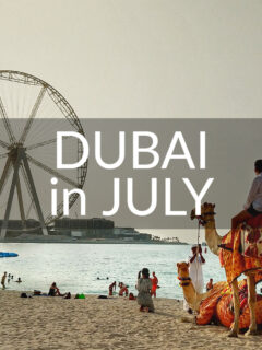 Dubai in July (beach and Ain Dubai, Camel)