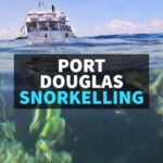 Port Douglas Snorkelling boat