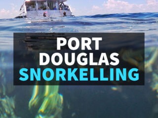 Port Douglas Snorkelling boat