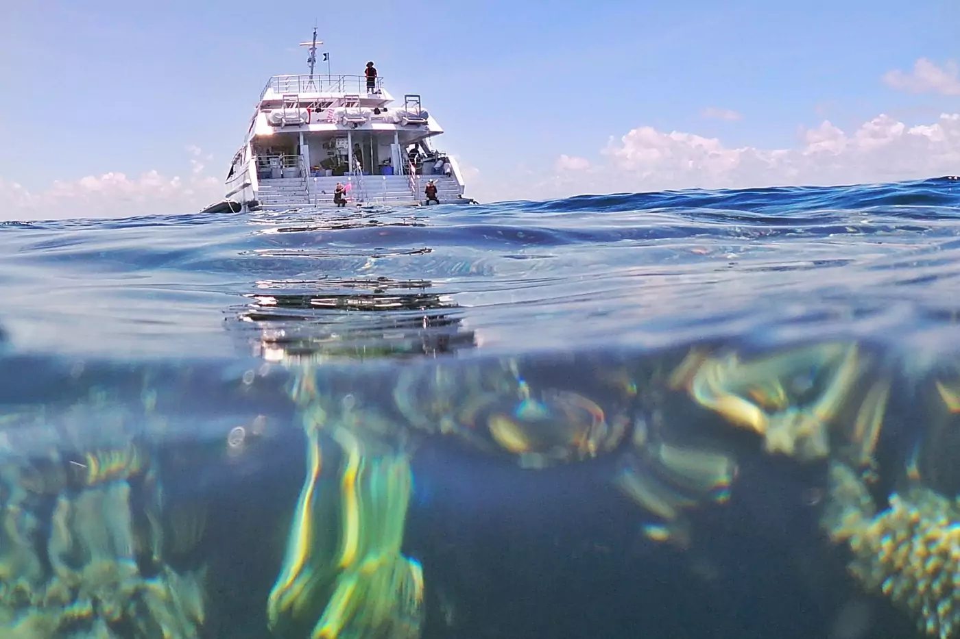 Port Douglas snorkelling boat on the reef