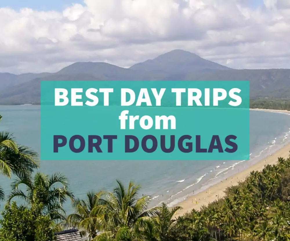 What are the best day trips from Port Douglas