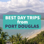 What are the best day trips from Port Douglas