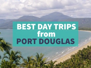 What are the best day trips from Port Douglas