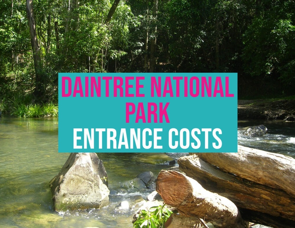 Daintree National Park roads creek crossing