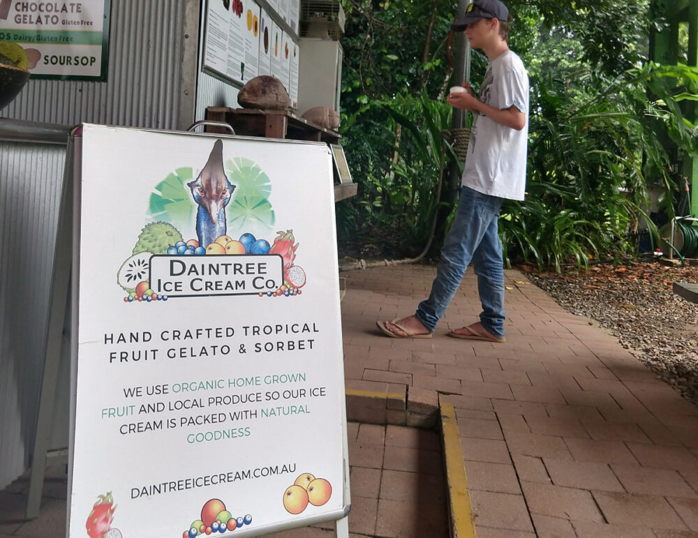 Daintree rainforest ice cream
