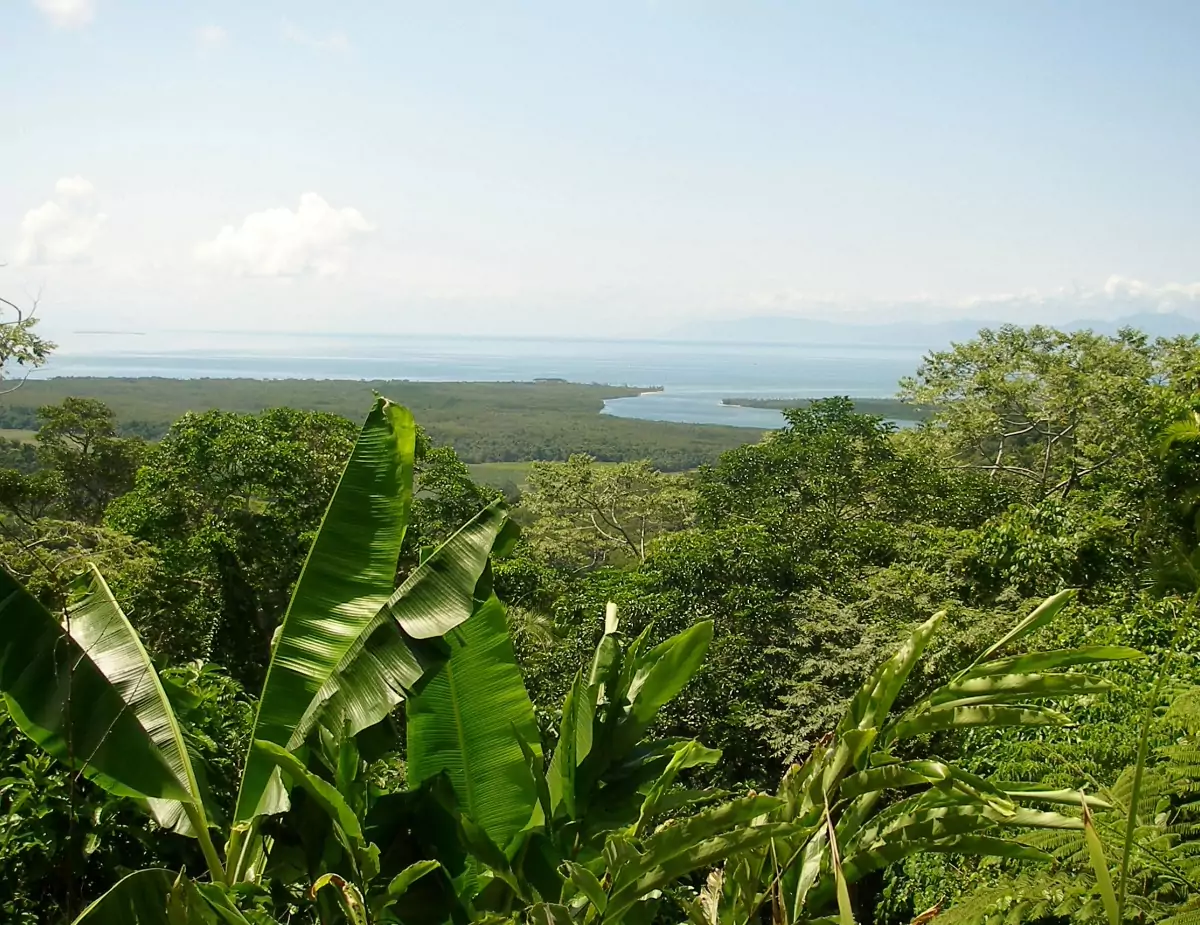 Daintree Rainforest Lookout View