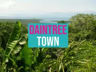 Daintree Rainforest View