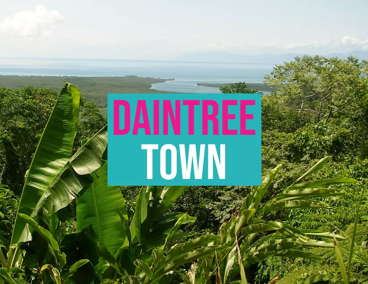 Daintree Rainforest View