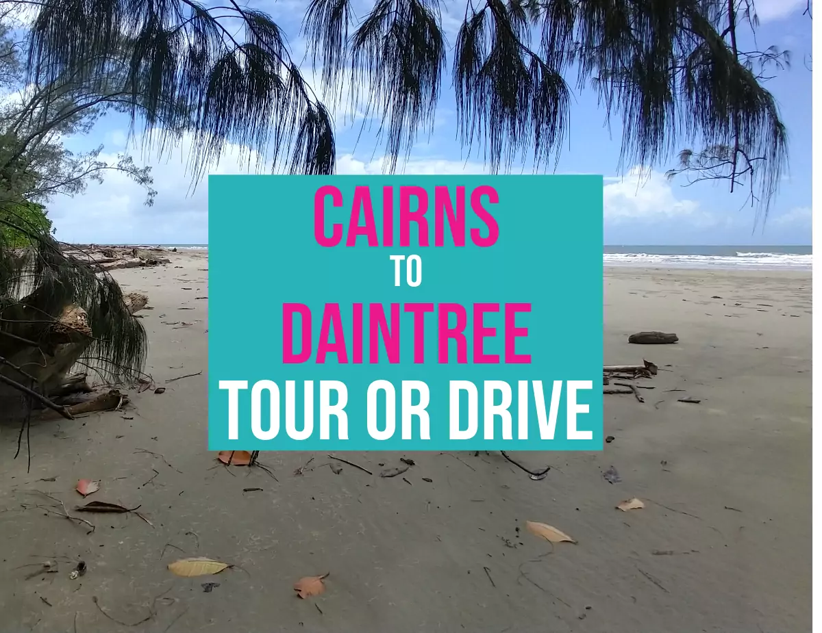 Daintree from Cairns Daintree Beach