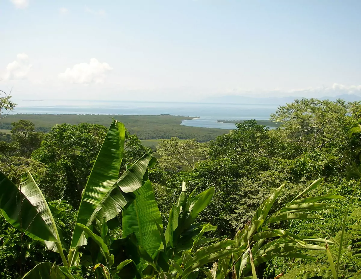 Mouth of the Daintree River