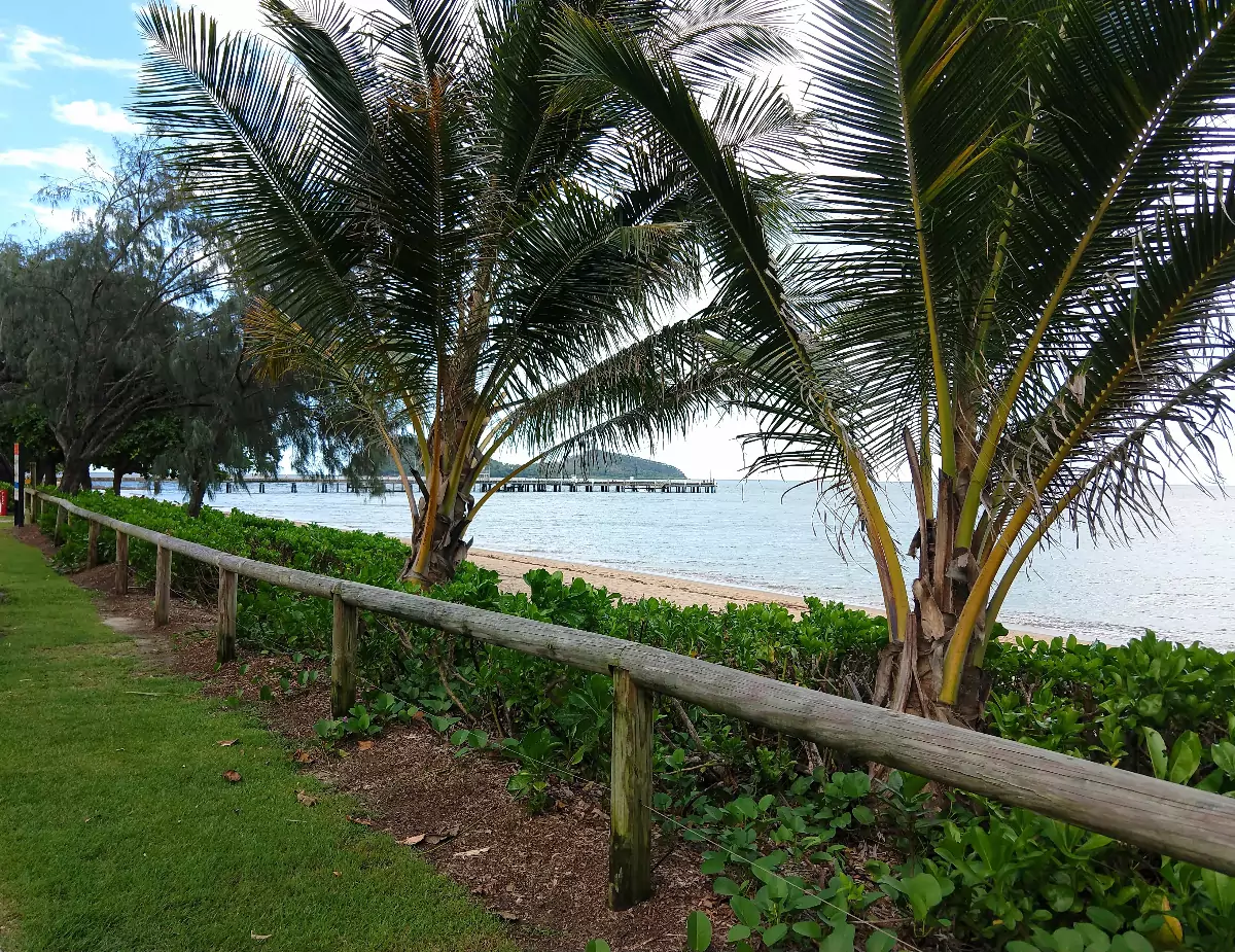 Palm Cove Beach