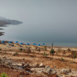 Swim in the dead sea "beach"