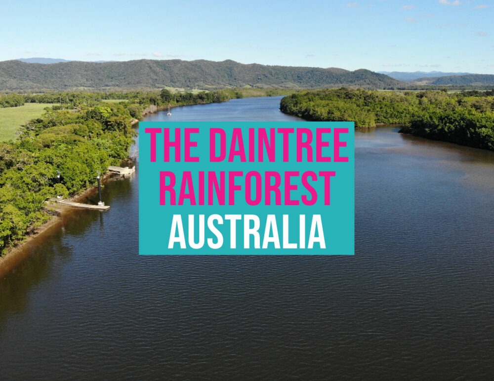 The Daintree Rainforest drone photo