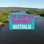 The Daintree Rainforest drone photo