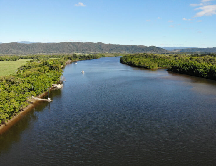 Is It Safe To Swim in The Daintree River?