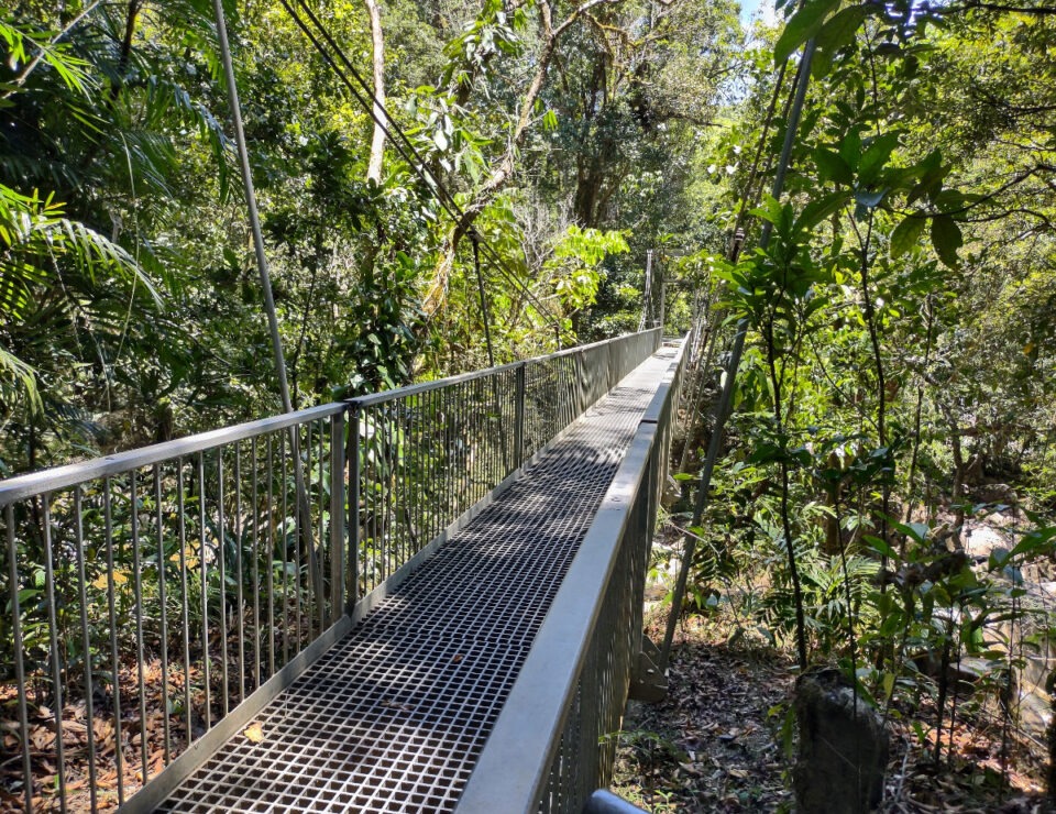 The Daintree Rainforest