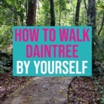 Daintree Rainforest Walks by Yourself
