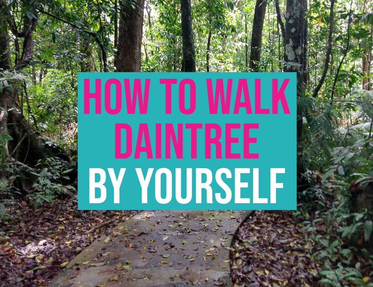 Daintree Rainforest Walks by Yourself