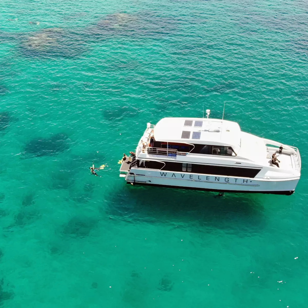 Port Douglas reef photo