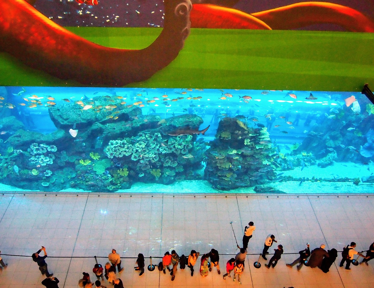 Dubai Mall Aquarium Tank blog