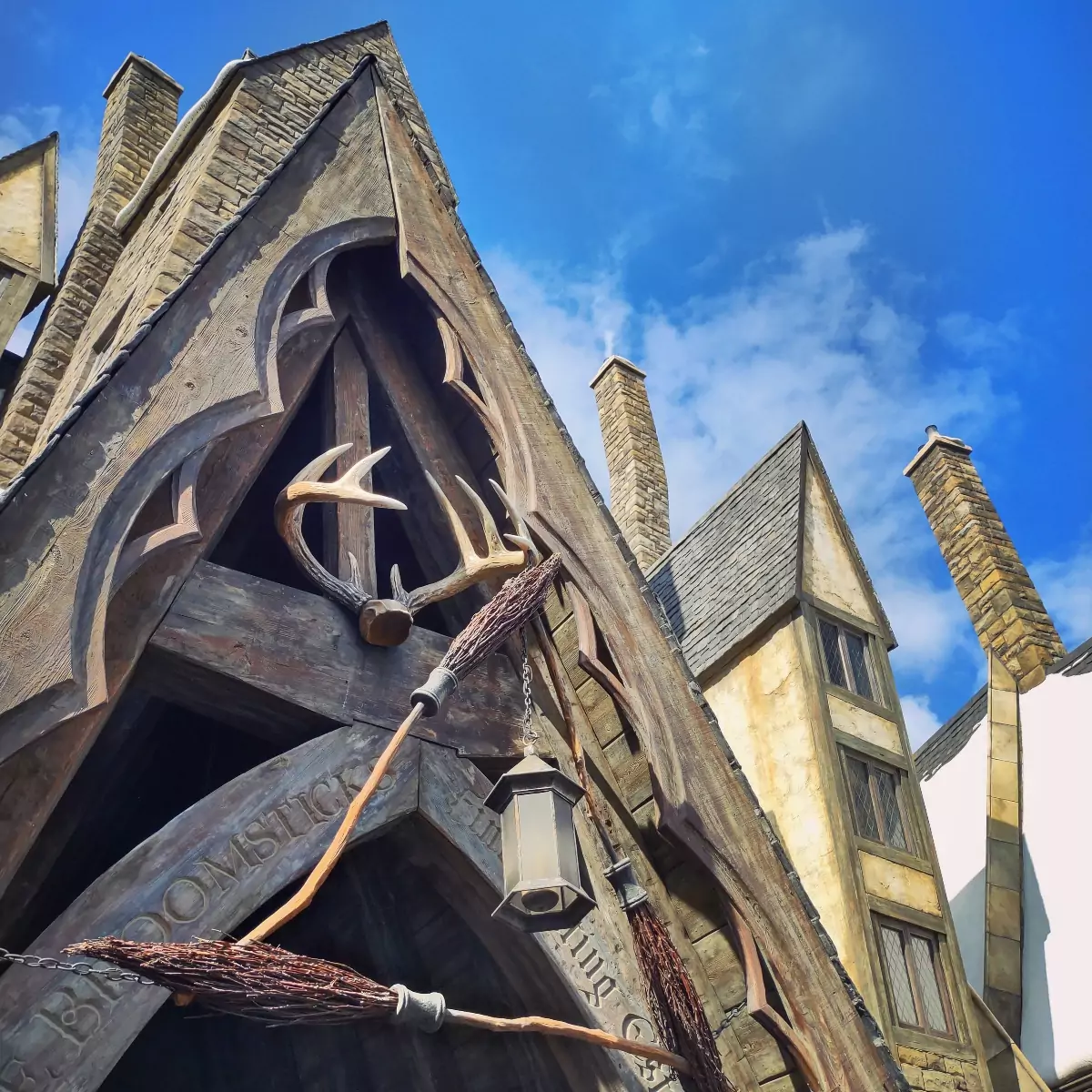 Enter a magical world at this Harry Potter-themed Florida rental