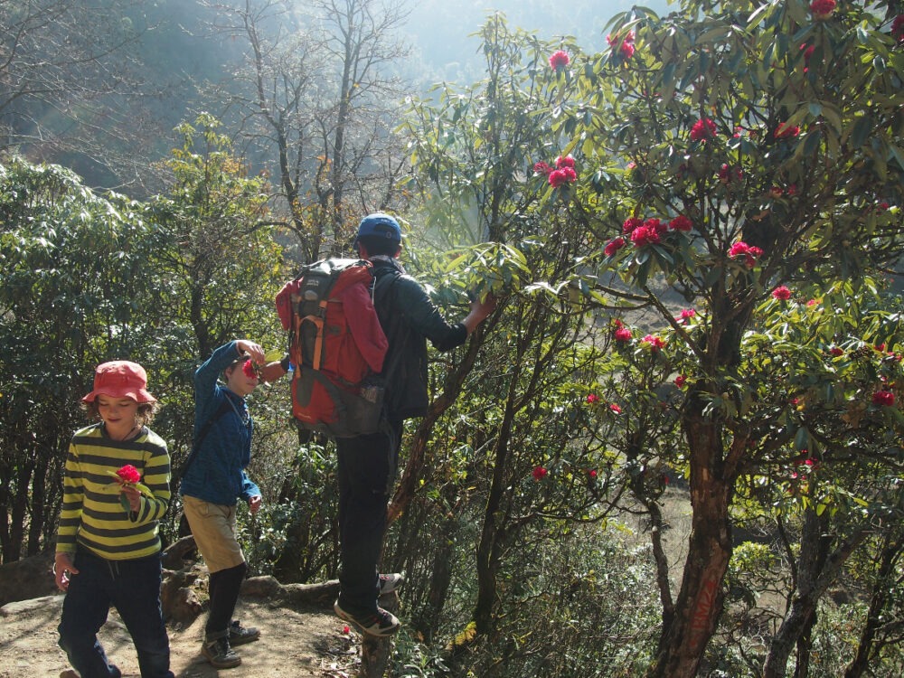 Nepal trekking guide