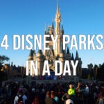 4 disney parks in a day