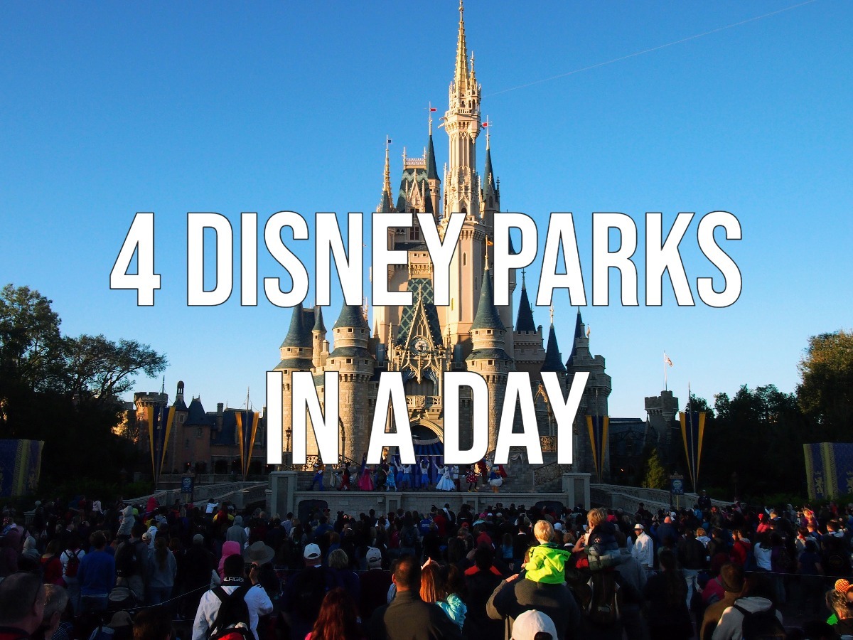 Every Single Roller Coaster at Every Disney Park