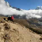 Trekking trail in Nepal