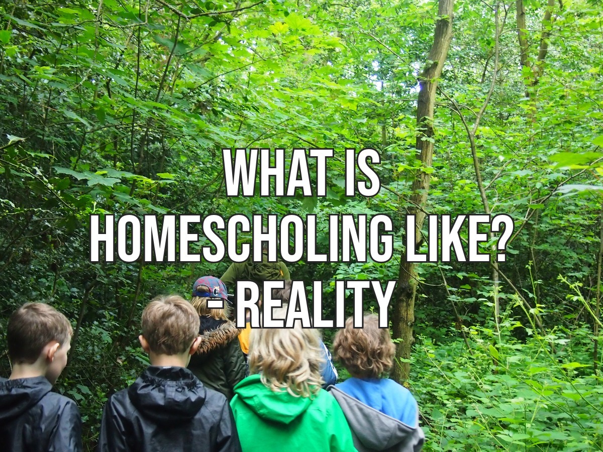 What is homeschool like kids group