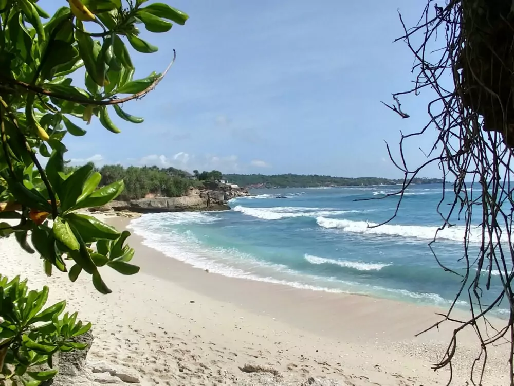 Manta Point manta ray swim from Bali