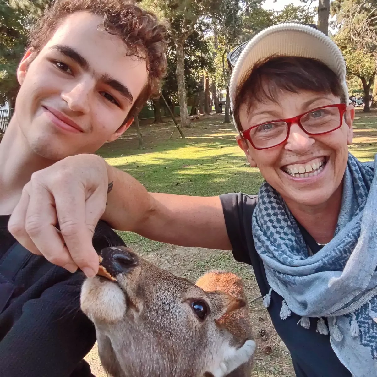 The polite deer of Nara Japan