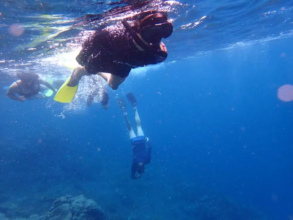 Snorkelling from Bali