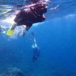 Snorkelling from Bali