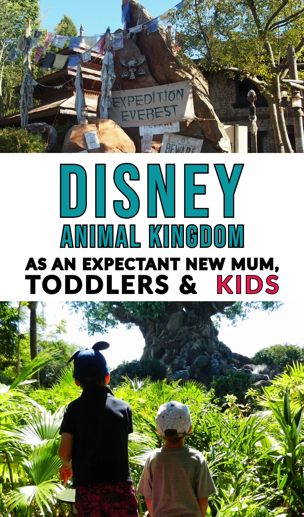 Disney Animal Kindom, While Pregant, with Babies, Toddlers, & Kids