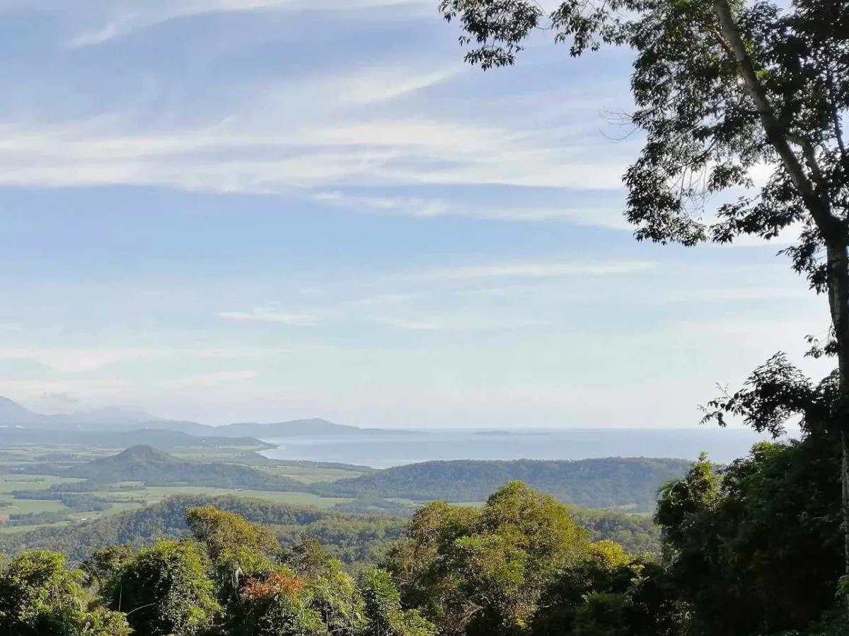 Cairns To Port Douglas 2024   Road From Cairns To Port Douglas .webp