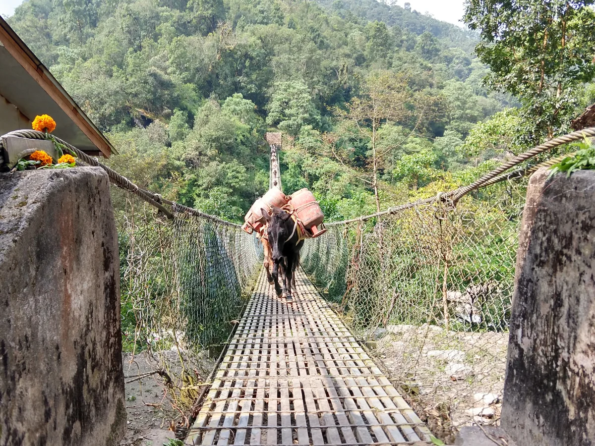 crossing bridges trek nepal