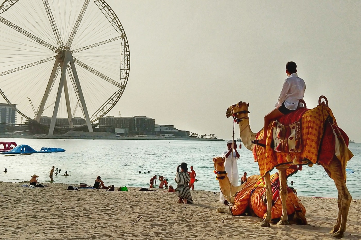 Dubai beach and camels