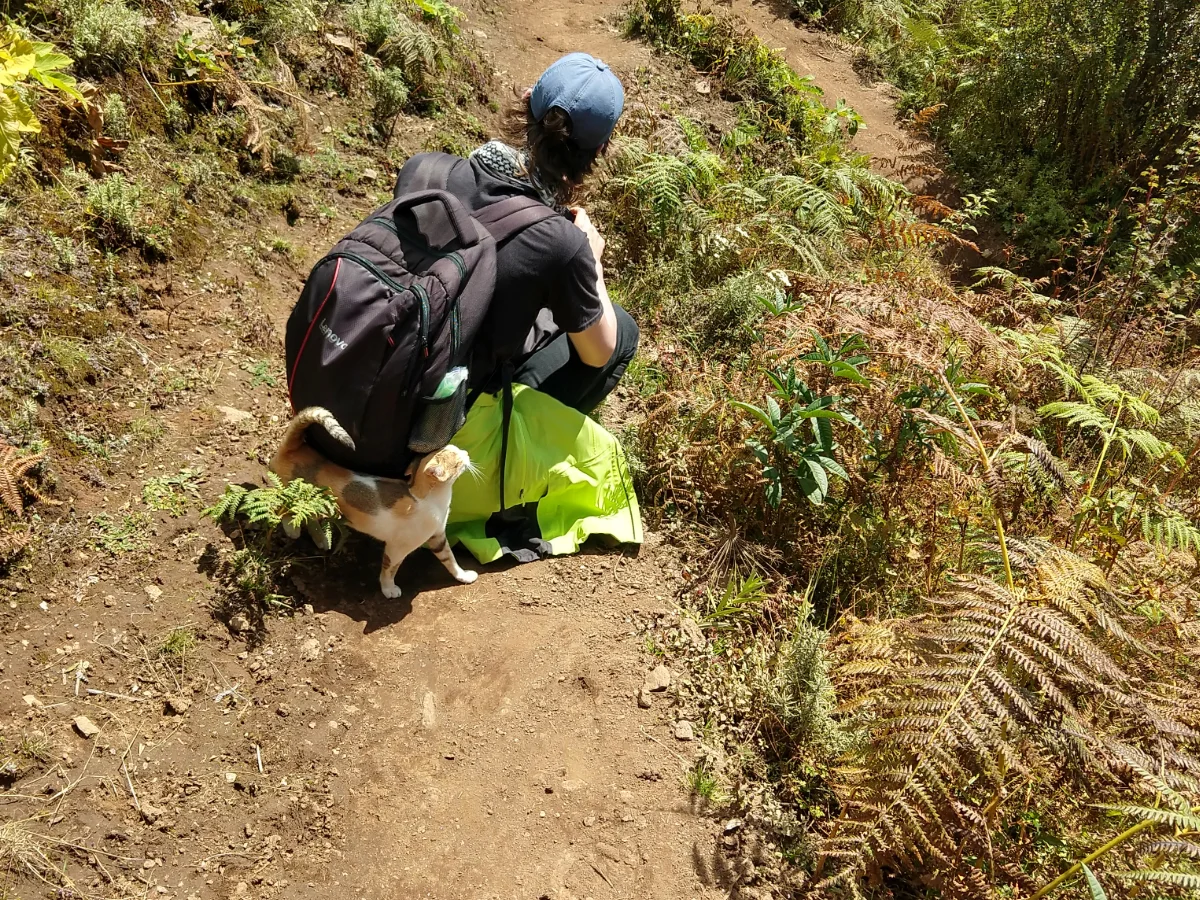 Hike to Tigers Nest Camp