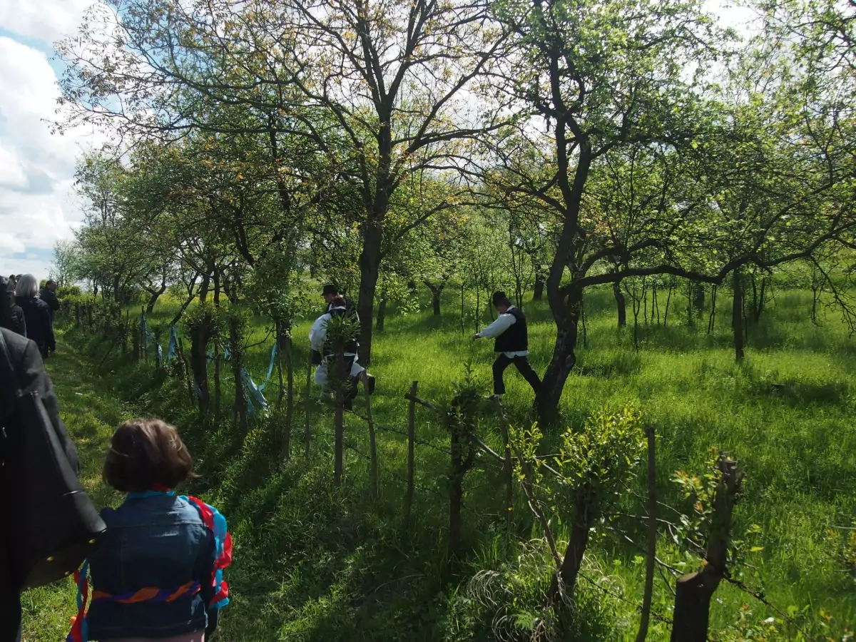 Orchards in Hoteni