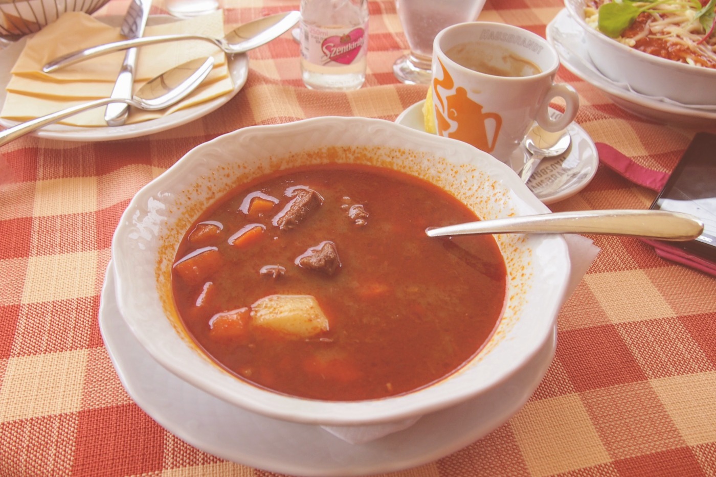 Hungarian goulas soup