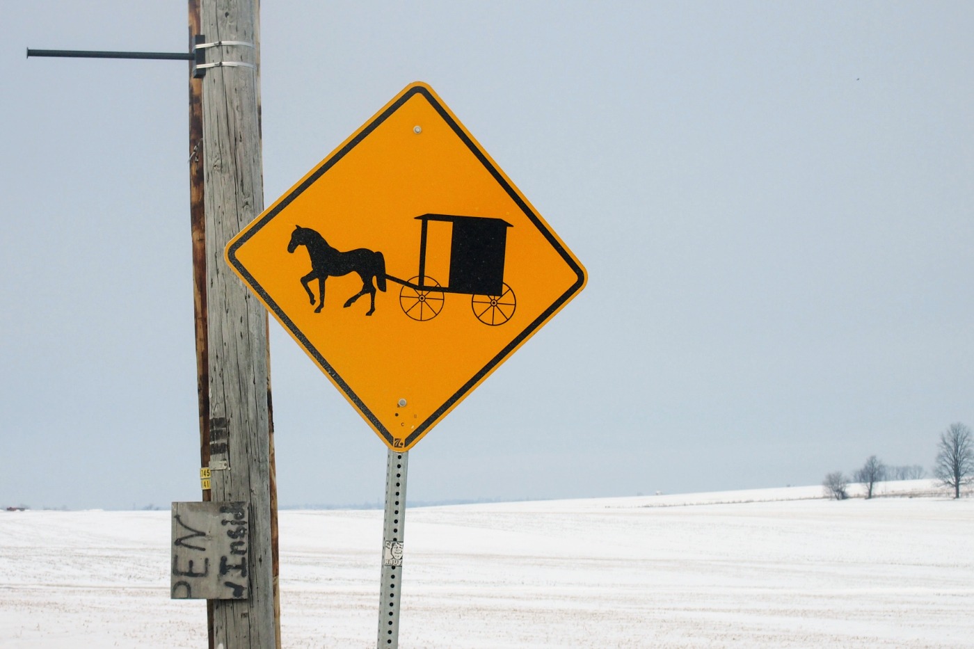 Amish buggy road sign