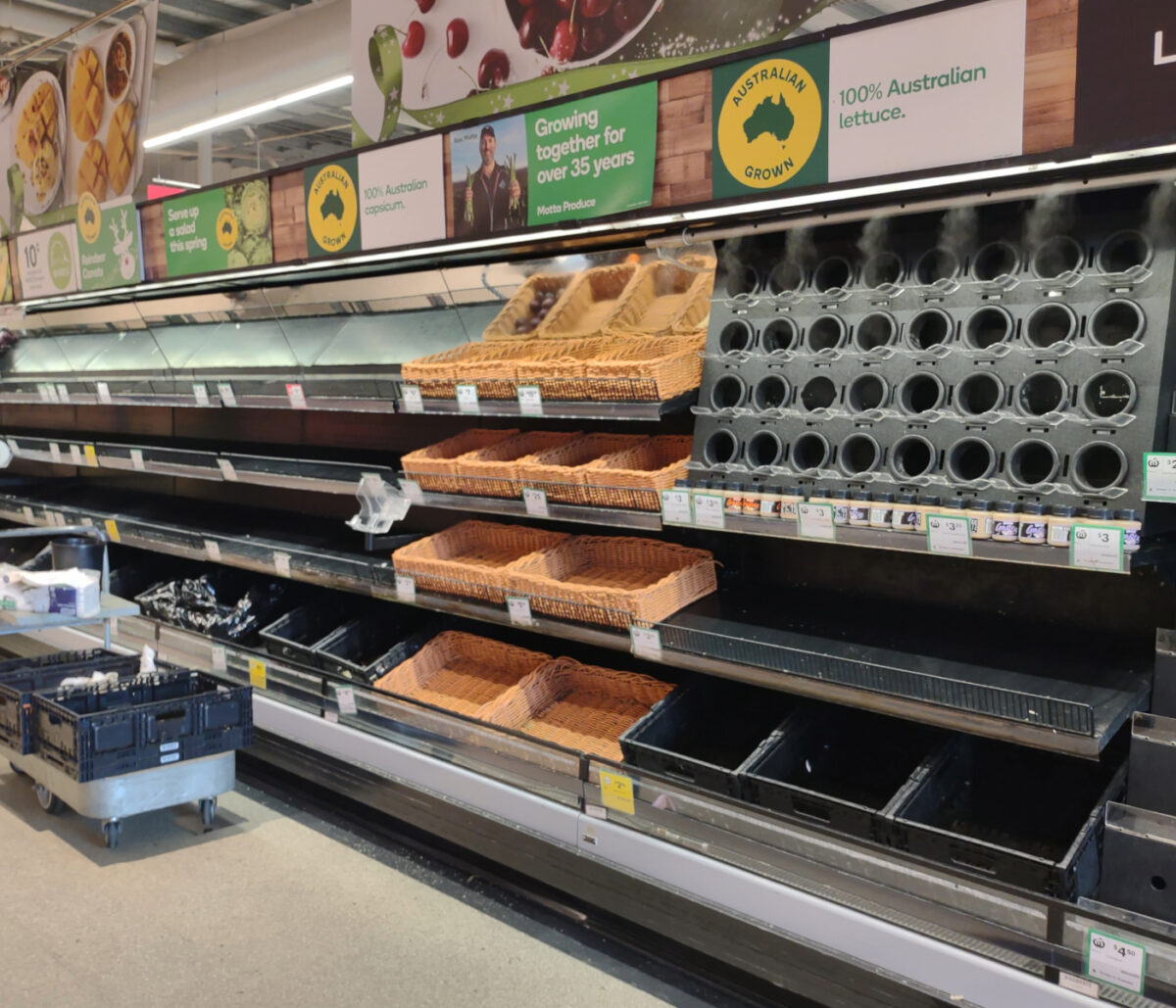 empty supermarket shelved after the last big storm